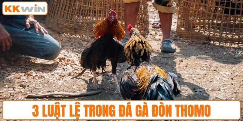 3 luật lệ trong đá gà đòn Thomo