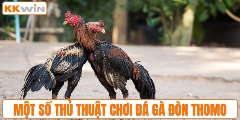 Một số thủ thuật chơi đá gà đòn Thomo