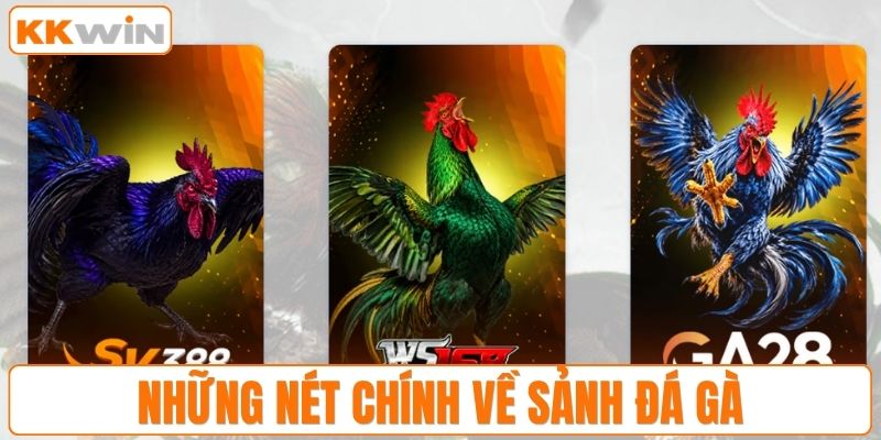 Những nét chính về sảnh đá gà