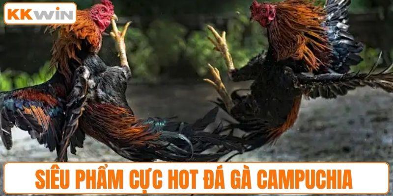 Siêu phẩm cực hot đá gà Campuchia